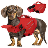 Queenmore Veste-chien avec avant-flotte soutenant la tête pendant la baignade