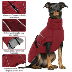 Queenmore XL manteau chien rouge — boucles rapides, mise en place facile.