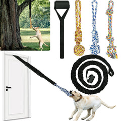 QUJOGA tir-bungee chien intérieur avec stimulation et énergie