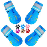 Bottes QUMY pour grands chiens – vue avant sur patte et confort.