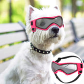 QUMY lunettes-chien-uv-protection protègent les yeux lors des sorties en plein air.