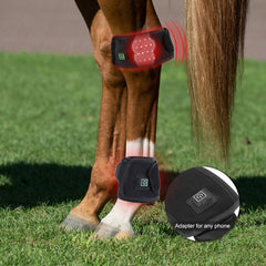 QVIKPMU thérapie-lumiere rouge portable pour cheval, pratique en écurie et sur piste.