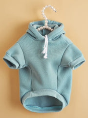 Détail capuche du pull capuche QWINEE bleu cadet, design ergonomique et protection légère