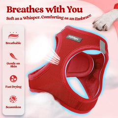 Clip anti-emmêlement sur laisse Rabbitgoo pour des promenades fluides.