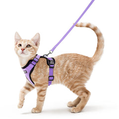 Harnais rabbitgoo pour chat léger en maille aérée, confort optimal.