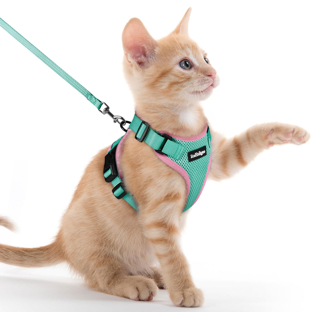 Harnais Rabbitgoo anti-fuite pour chat, sécurité lors des sorties