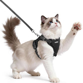 Harnais rabbitgoo anti-fuite avec 3 boucles pour sécurité renforcée lors des promenades.