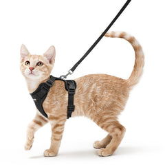 Harnais Rabbitgoo pour chat, vue frontale, ajustable et sécurisé pour promenades.