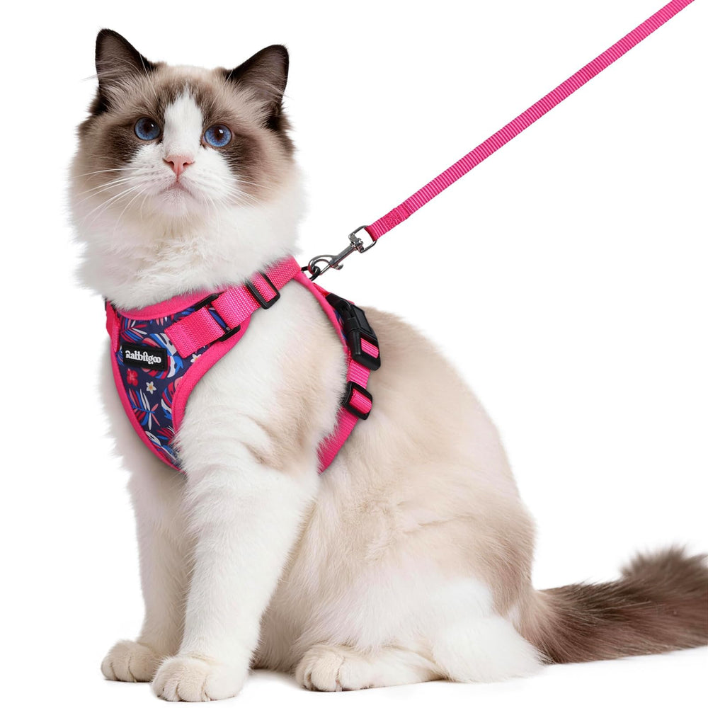 Harnais Rabbitgoo pour chat, confort respirant pour promenades détendues.