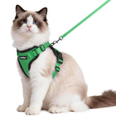 Harnais Rabbitgoo confort respirant pour les promenades des chats.