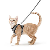 Le harnais Rabbitgoo avec dos D-ring pour un contrôle sécurisé lors des promenades.