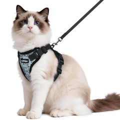 Harnais Rabbitgoo pour chat, face-avant: confort et sécurité pendant les promenades.