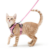 Harnais Rabbitgoo en mesh respirant pour chat, confort lors des promenades.
