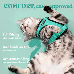 Harnais chat mesh respirant pour balades estivales et confort