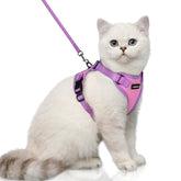 Harnais chat rabbitgoo en mesh respirant rose pour le confort quotidien.