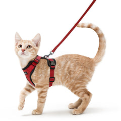 Harnais Rabbitgoo pour chat, respirant et léger, parfait pour les balades.