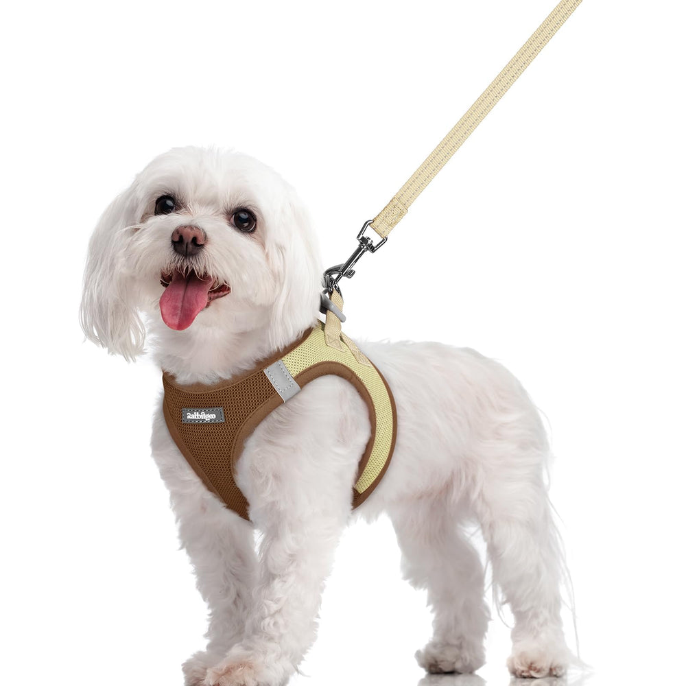 Harnais rabbitgoo pour chien à enfiler, pratique et confortable lors des promenades.