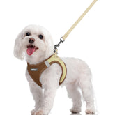 Harnais rabbitgoo pour chien à enfiler, pratique et confortable lors des promenades.