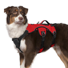 Harnais Rabbitgoo anti-fuite plein-corps pour chien, sécurité et confort.