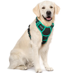 Rabbitgoo harnais anti-tirage pour chien avec 2 attaches pour un contrôle amélioré.