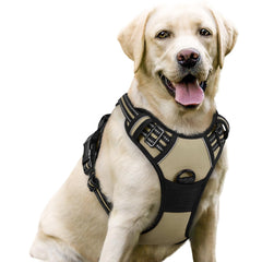 Harnais Rabbitgoo pour chien beige — avant, système anti-traction pour promenades plus calmes.