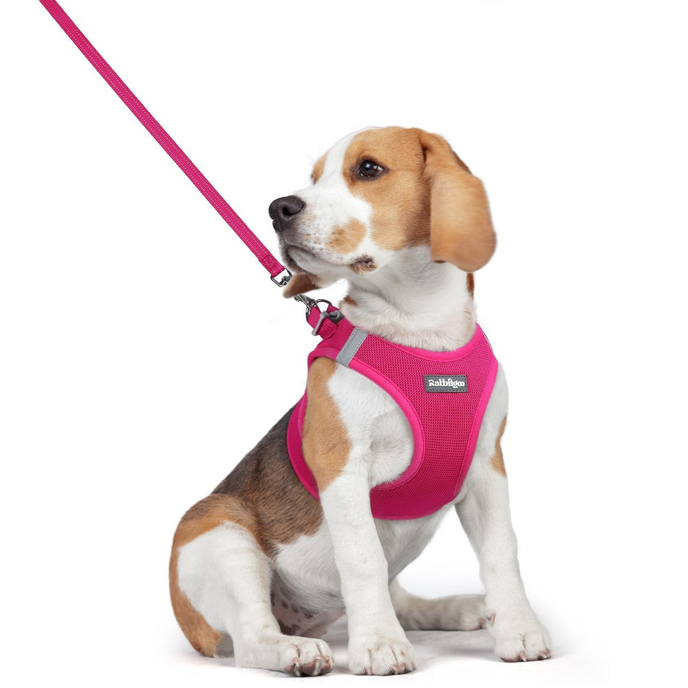 Harnais Rabbitgoo enfiler rose pour chien, accès rapide et confortable.