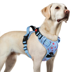 rabbitgoo harnais pour chien grand avec 3 boucles faciles à utiliser lors des sorties