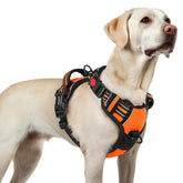 Rabbitgoo harnais chien grand — 3 boucles pour enfiler rapidement et en sécurité.