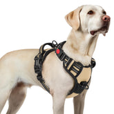 Harnais rabbitgoo anti-tir pour grand chien avec 3 boucles rapides et ajustement sûr.