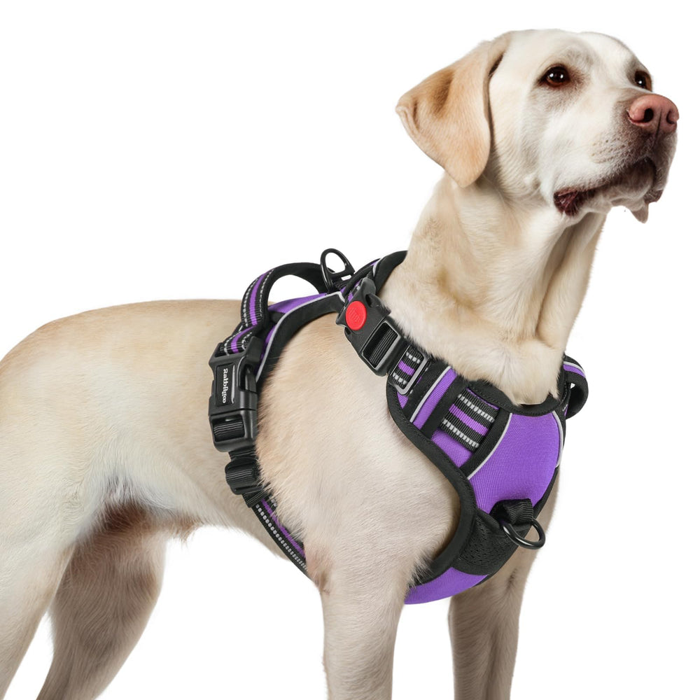 Harnais Rabbitgoo pour chien grand avec trois attaches, confort et sécurité.