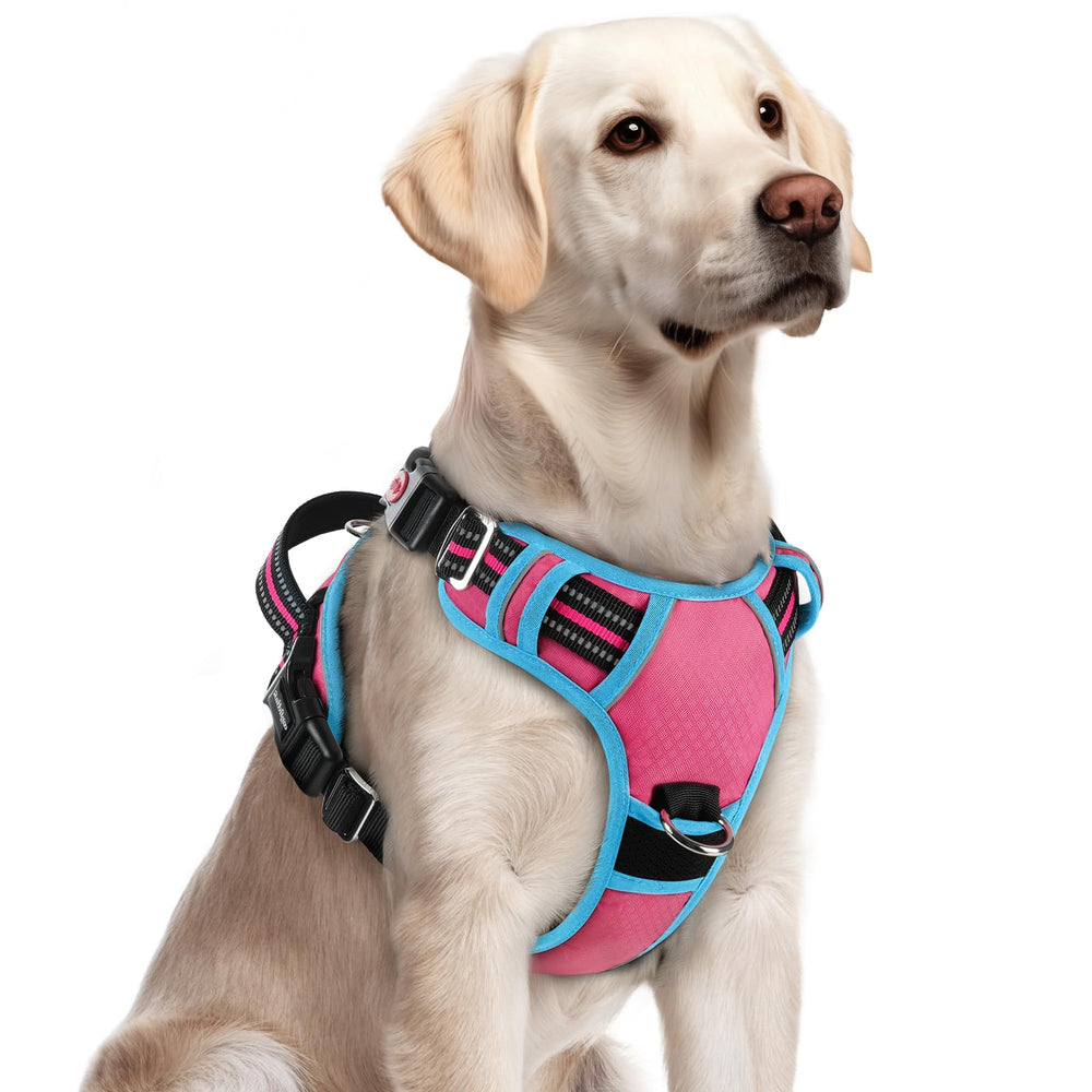 rabbitgoo harnais chien grand, trois boucles: enfilage rapide et pratique.