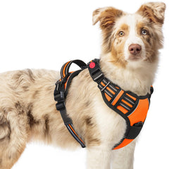 Harnais Rabbitgoo pour chien moyen vue générale et confort durable.