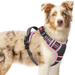 Harnais Rabbitgoo pour chien moyen avec 3 boucles et ajustement rapide.