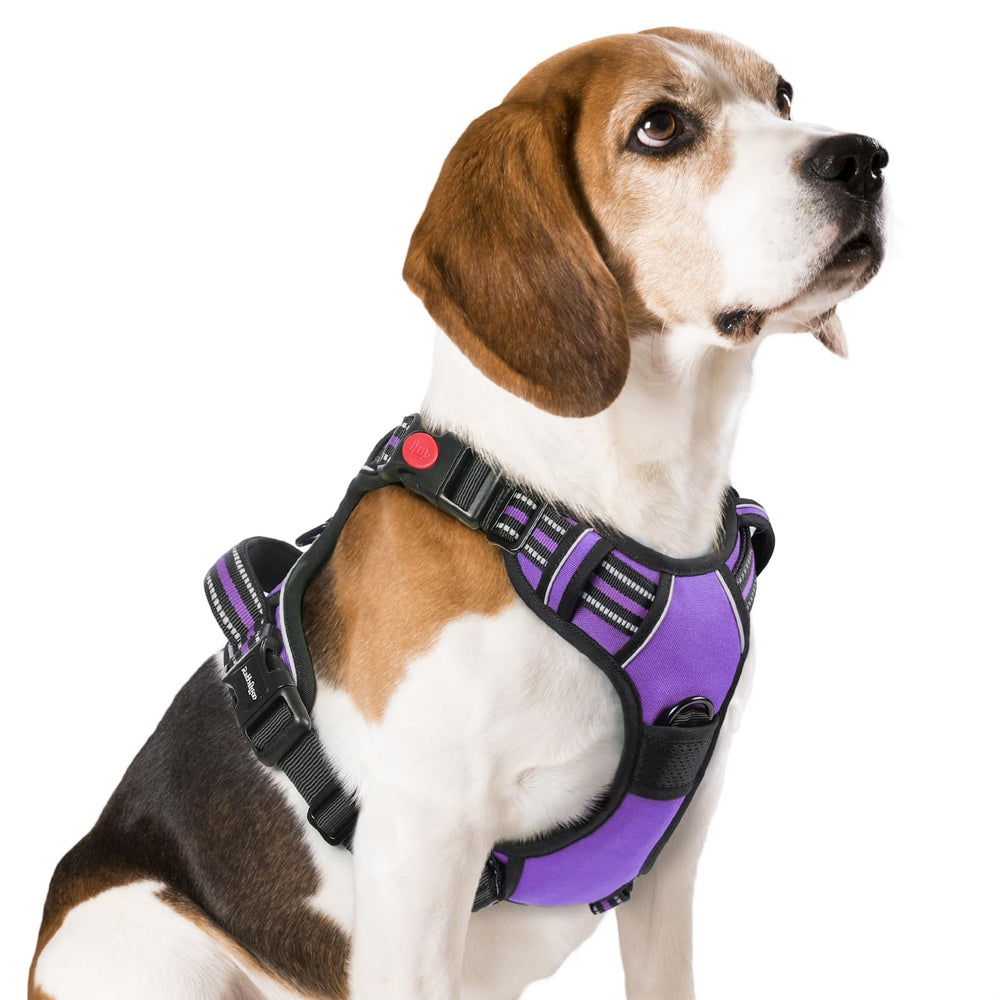 Harnais Rabbitgoo anti tirage pour chien moyen offrant confort et stabilité