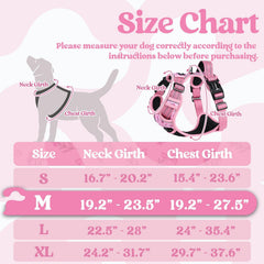 Harnais Rabbitgoo pour chien moyen, 3 boucles rapides facilitant l’application