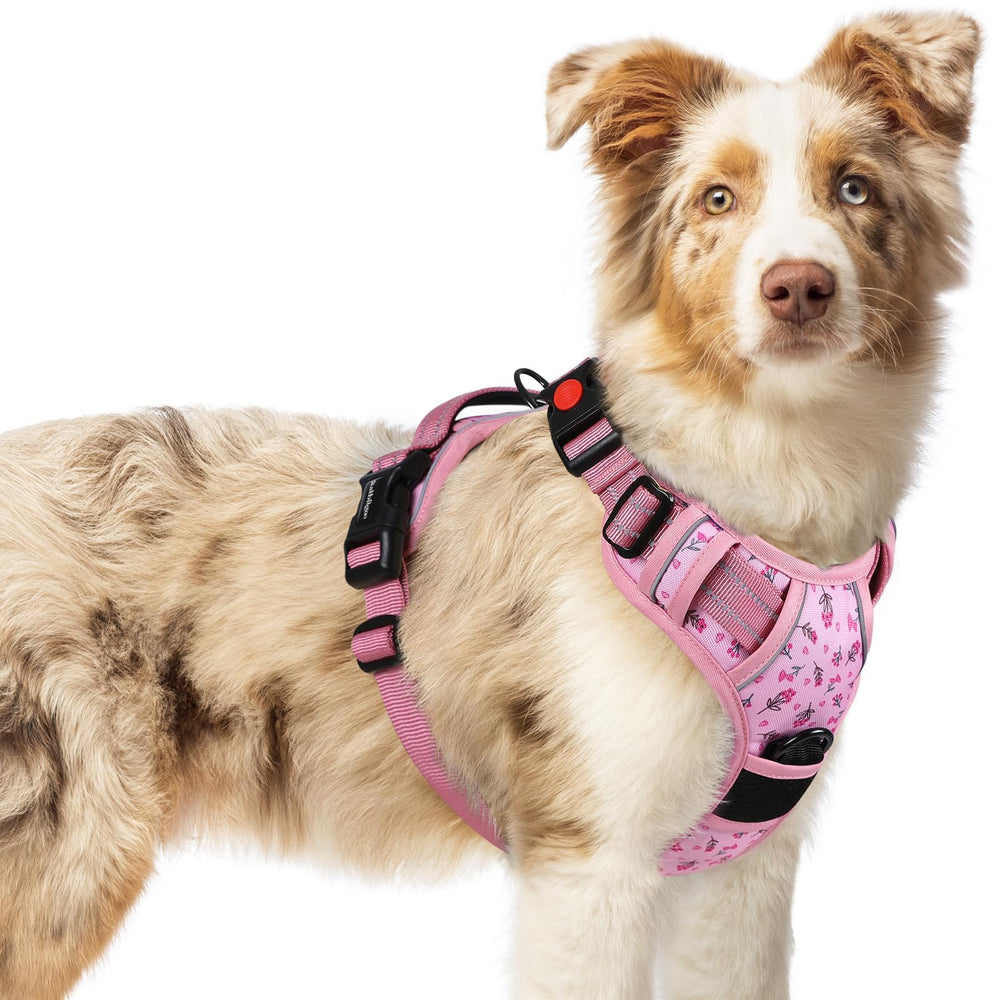 Harnais Rabbitgoo pour chien moyen fleurs rose, aspect élégant pour promenades