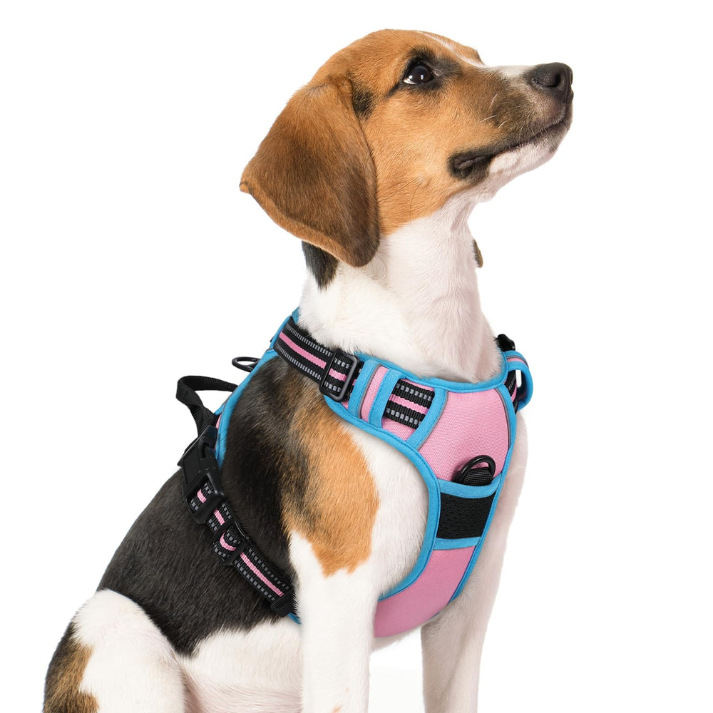 Harnais rabbitgoo pour chien moyen, rembourré et couleur rose-bleu, porté confortablement