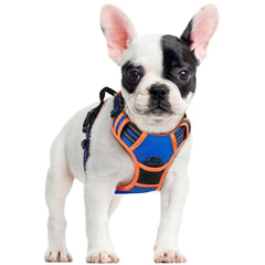 Rabbitgoo harnais sans tirage bleu/orange pour promenades confortables.