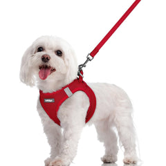 Harnais Rabbitgoo pour petit chien, enfilage rapide en rouge pour les promenades.