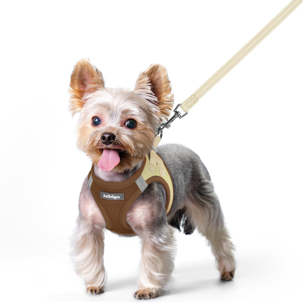 Harnais Rabbitgoo pose-dentree, enfilage rapide pour petits chiens.