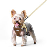 Harnais Rabbitgoo pose-dentree, enfilage rapide pour petits chiens.