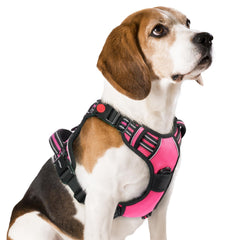 Harnais Rabbitgoo rose moyen – vue avant, confort ajustable pour promenades quotidiennes.