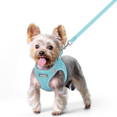 Harnais rabbitgoo step-in doux en menthe bleu XS, ajustement rapide pour petits chiens