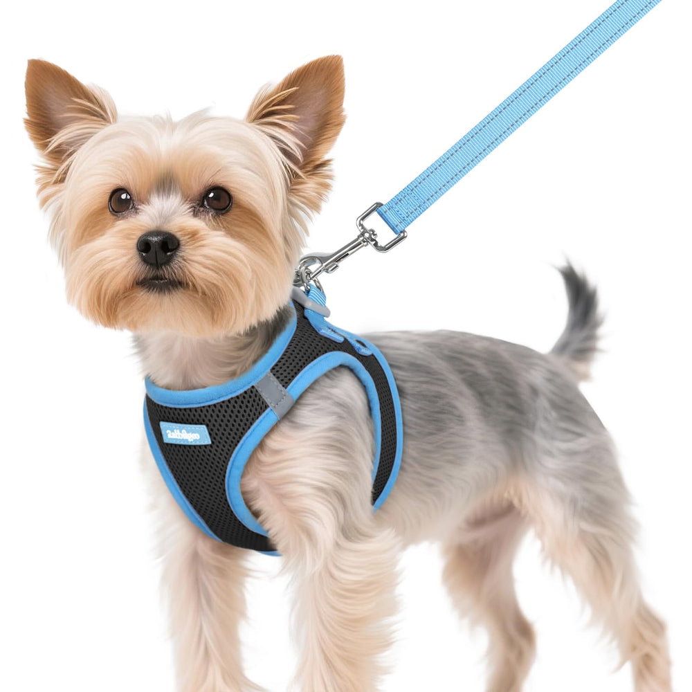 Harnais Rabbitgoo XS enfilage pratique et respirant sur chiot, confort durable.
