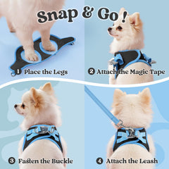 Harnais Rabbitgoo en maille respirante pour chien, garder au frais pendant les balades.