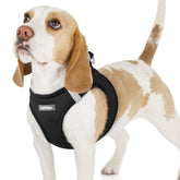 Harnais rabbitgoo pour petit chien en maille souple, confort quotidien
