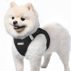 Harnais Rabbitgoo pour petit chien – enfilage rapide grâce au design étape-entrée.