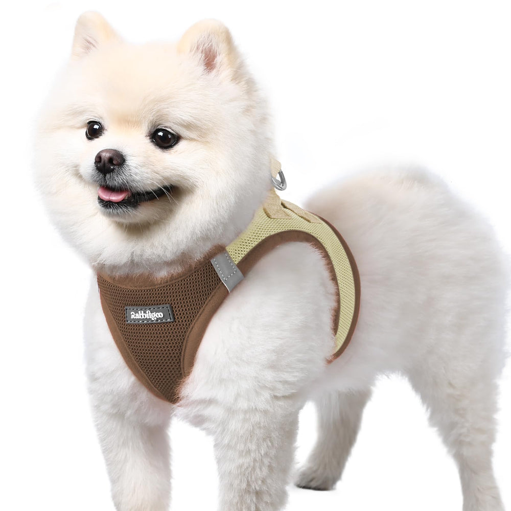 Harnais Rabbitgoo pour petit chien en maille aérée, confort durable pendant les promenades.