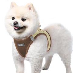 Harnais Rabbitgoo pour petit chien en maille aérée, confort durable pendant les promenades.