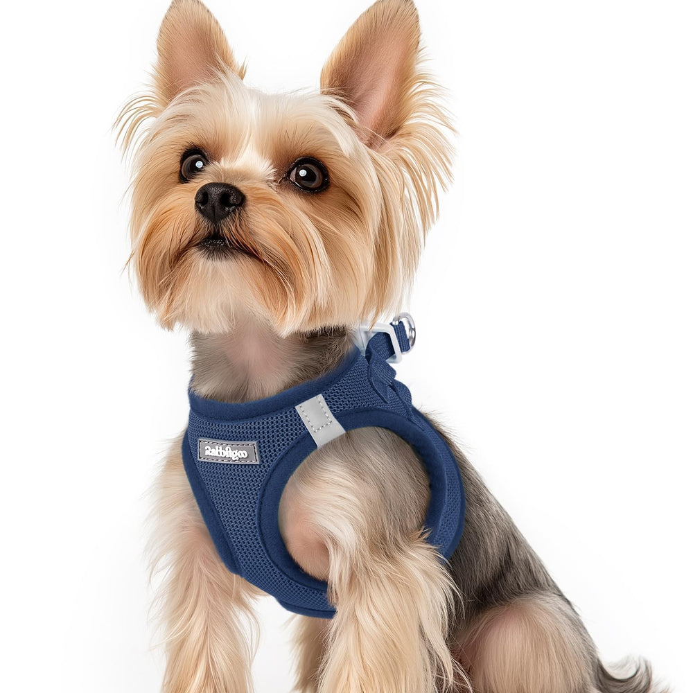 Harnais rabbitgoo-mesh-doux pour petit chien, confort lors des balades.